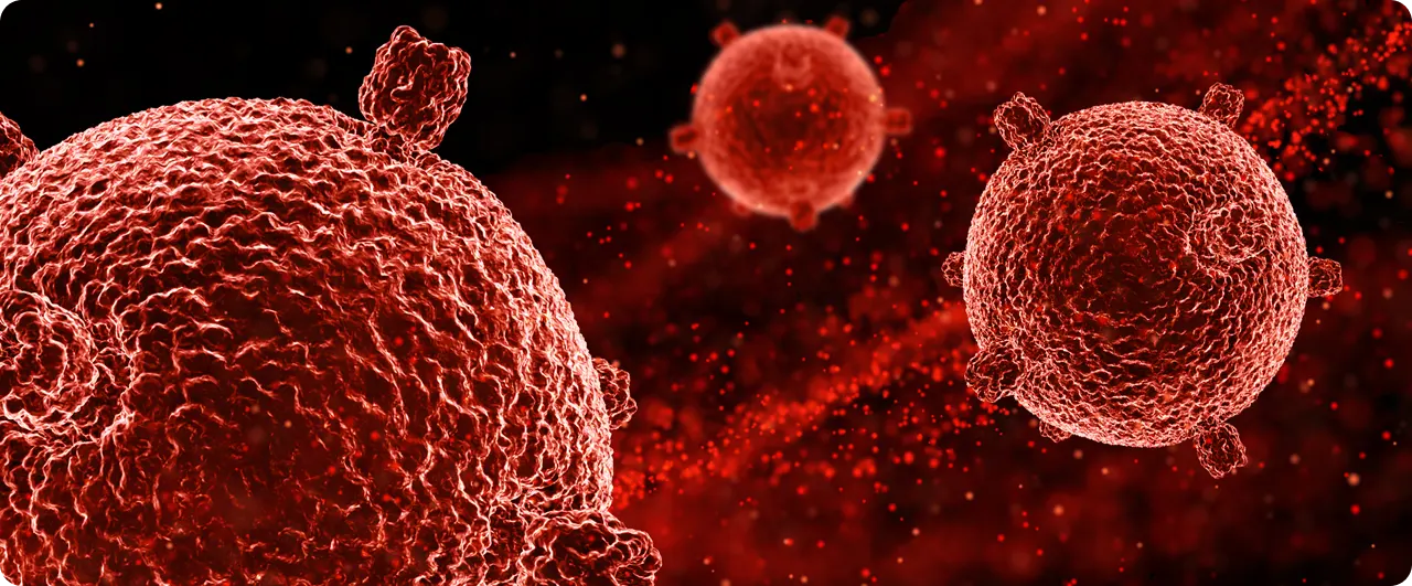 Causas de una infección urinaria | ¿Qué es la Malaria?