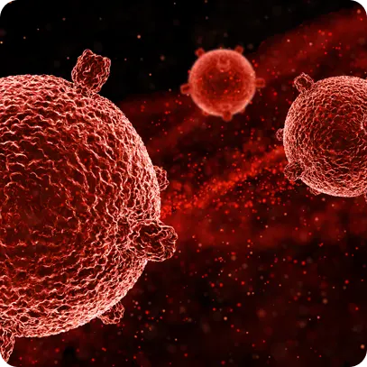 Causas de una infección urinaria | ¿Qué es la Malaria? Causas de una infección urinaria | ¿Qué es la Malaria?